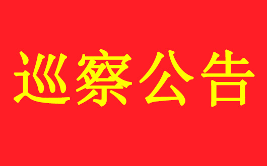 巡 察 公 告